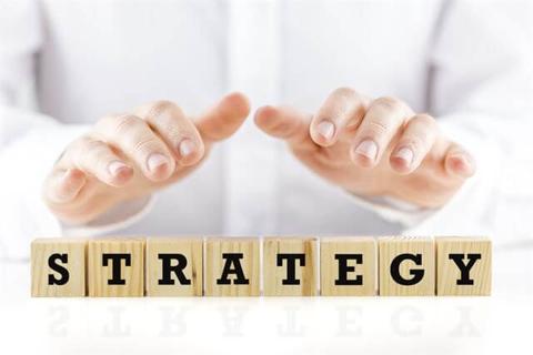البدائل الاستراتيجية: إستراتيجية النمو والتكامل