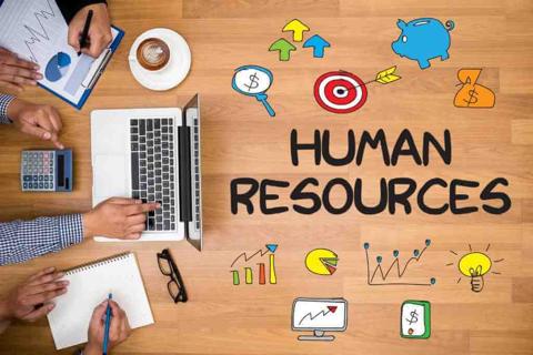 أقسام الموارد البشرية – 8 أقسام لإدارة الموارد